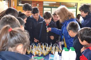 Read more about the article Charlas de Alimentación Saludable