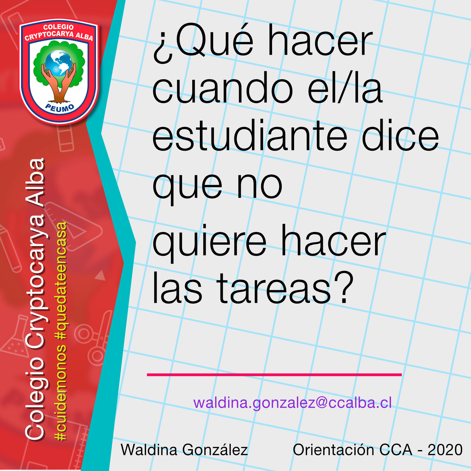 Lee más sobre el artículo ¿Qué hacer cuando el/la estudiante dice que no quiere hacer las tareas?