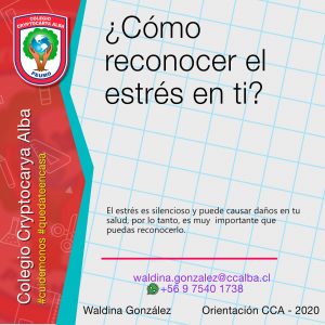 Read more about the article ¿Cómo reconocer el estrés en ti?