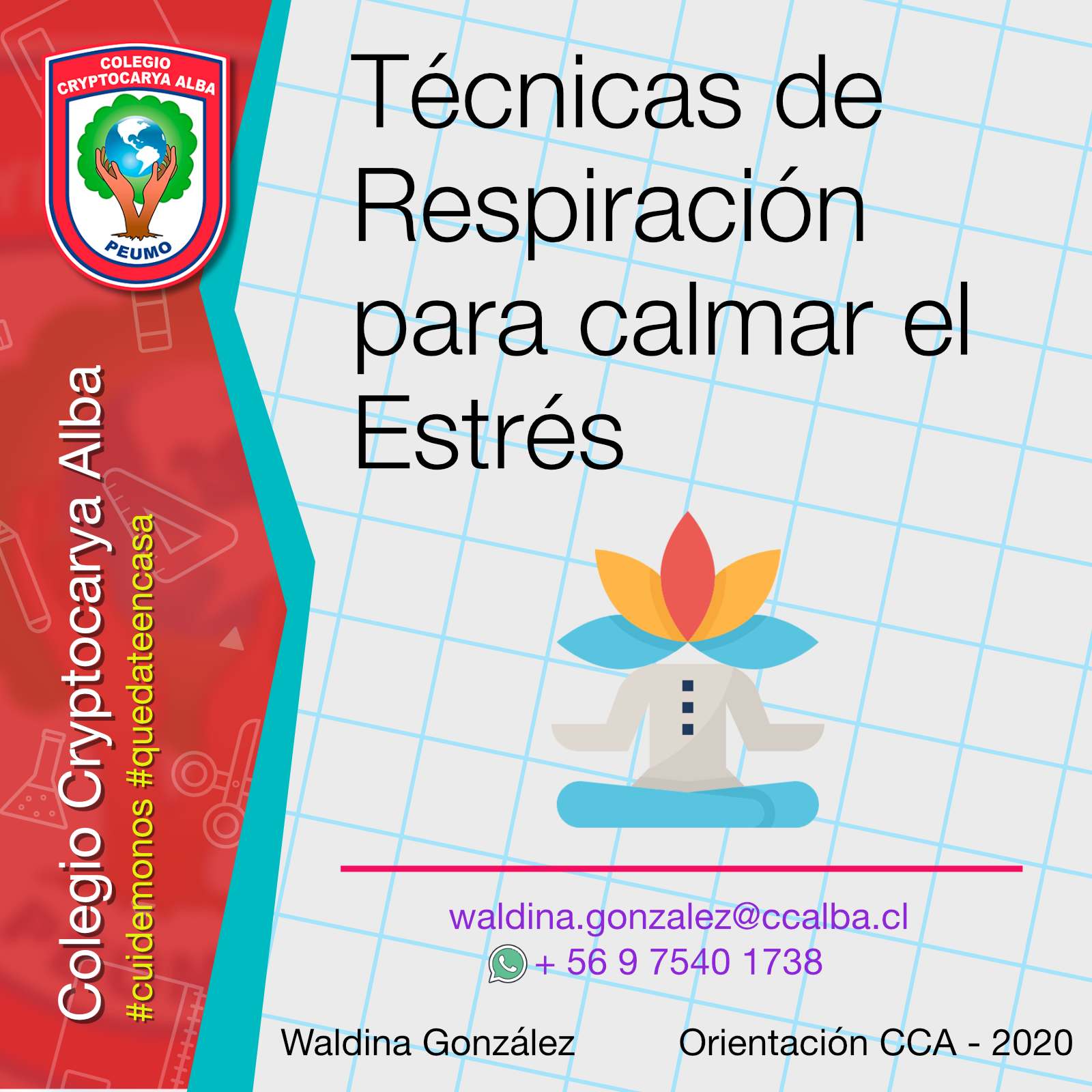 Lee más sobre el artículo Técnicas de Respiración para calmar el Estrés