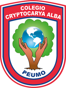 Logo CCA