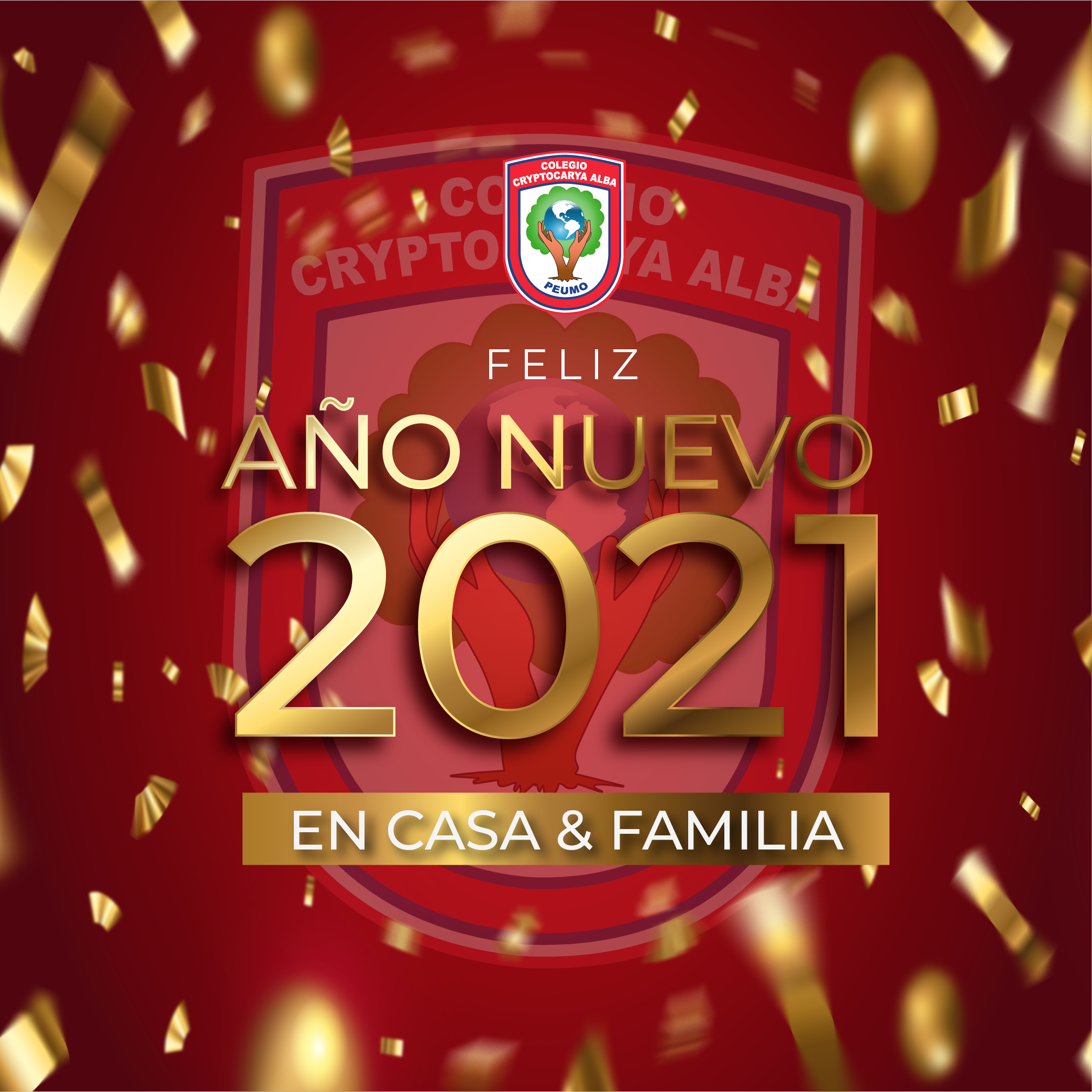 Lee más sobre el artículo Feliz Año 2021