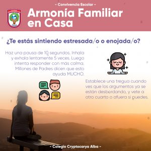 Read more about the article Te estás sintiendo estresada/o o enojada/o?