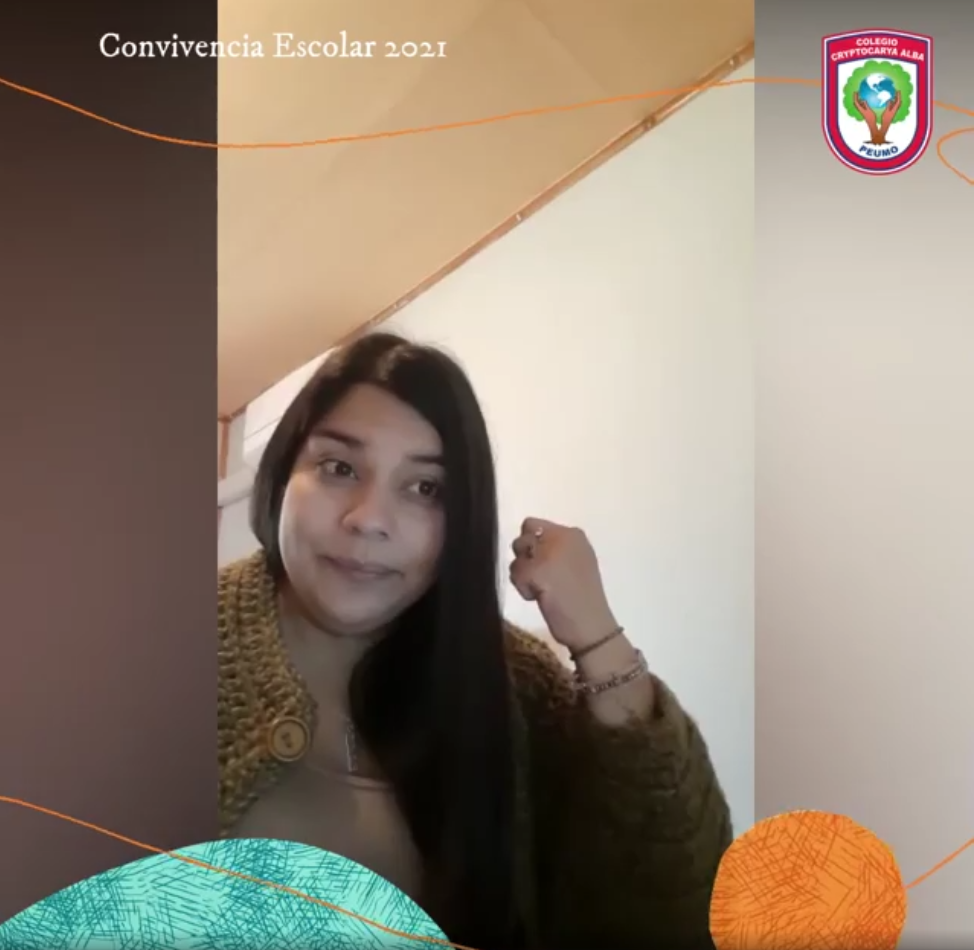 Lee más sobre el artículo Consejos de Convivencia Escolar