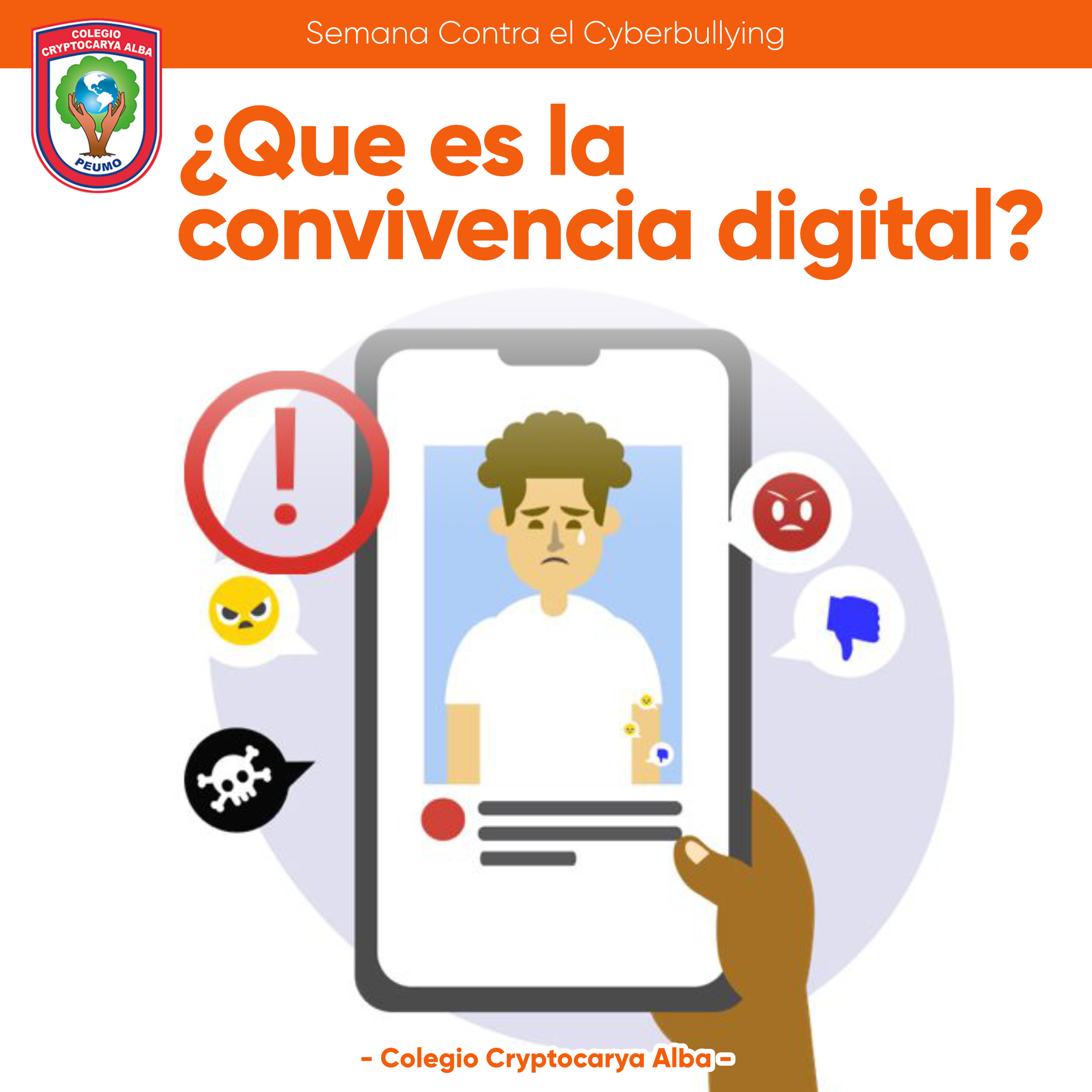 Lee más sobre el artículo ¿Qué es la convivencia Digital?