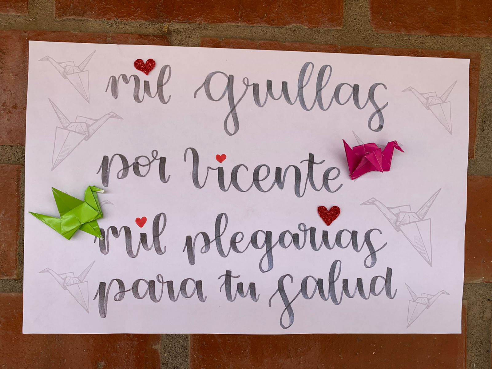 Lee más sobre el artículo Mil grullas por Vicente, mil plegarias para tu salud.