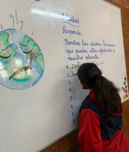 Read more about the article Día Mundial del Medio Ambiente