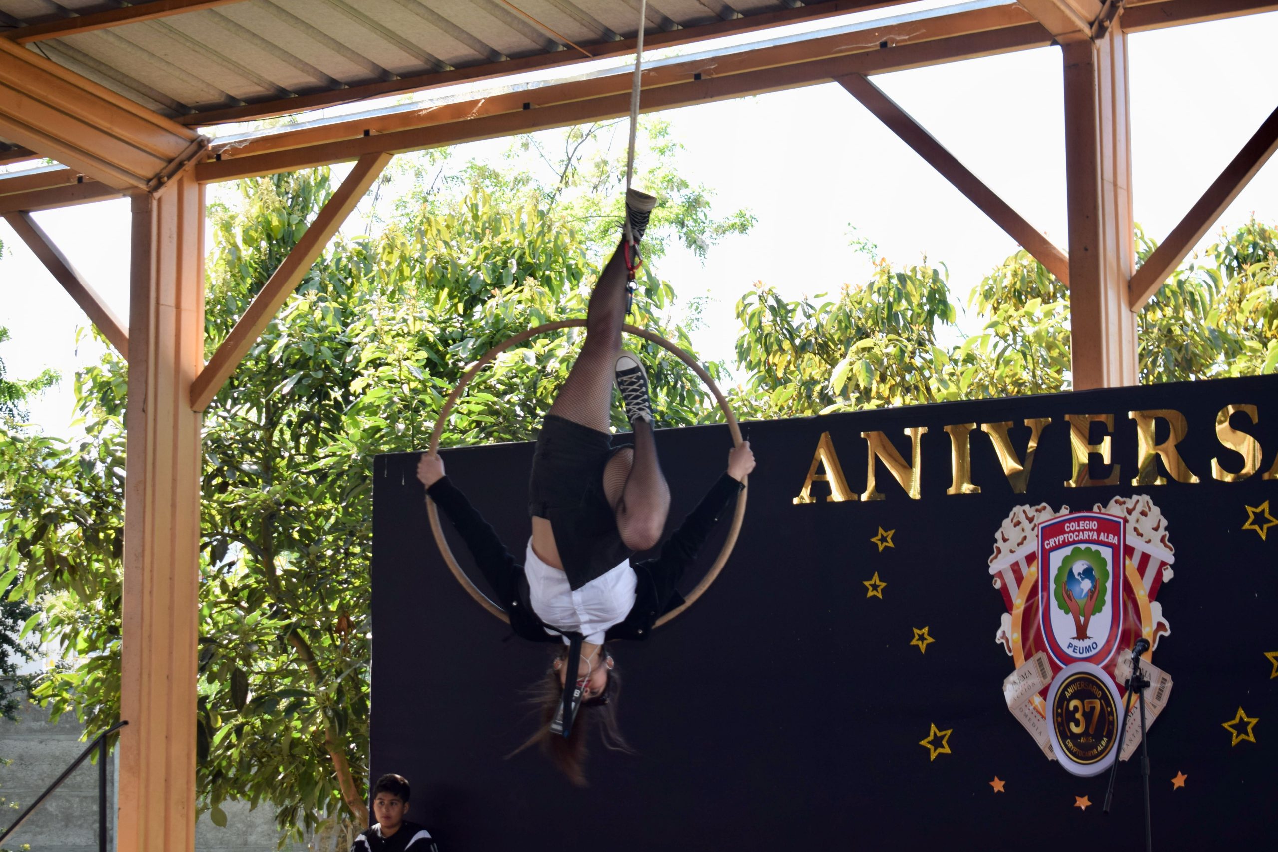 En este momento estás viendo ¡Celebrando 37 años de historia en Cryptocarya Alba!